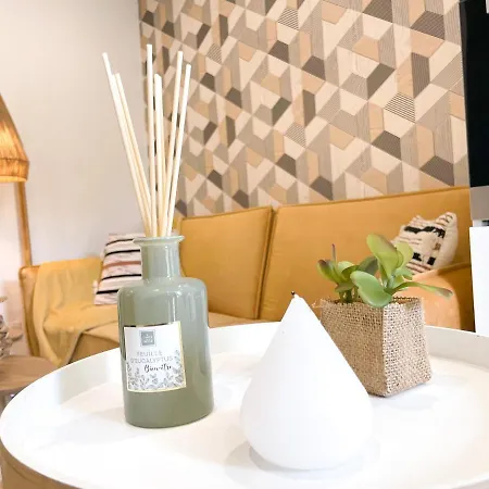 דירה Le Numero 12 Netflix Wifi *